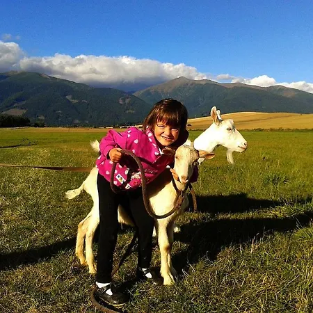 Rekreacny Dom Shalom 아파트 Smrečany